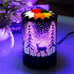 Candle Warmer Burner with 5 Wax