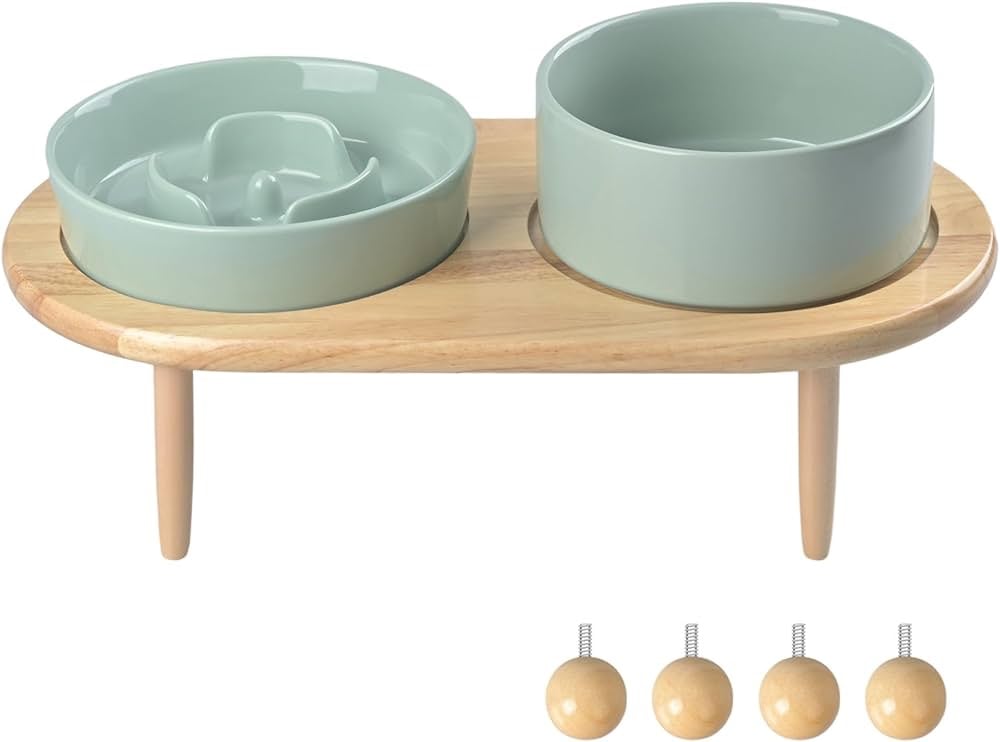 SPUNKY JUNKY Raised Ceramics Slow Feeder with Dog Water Bowl Combo