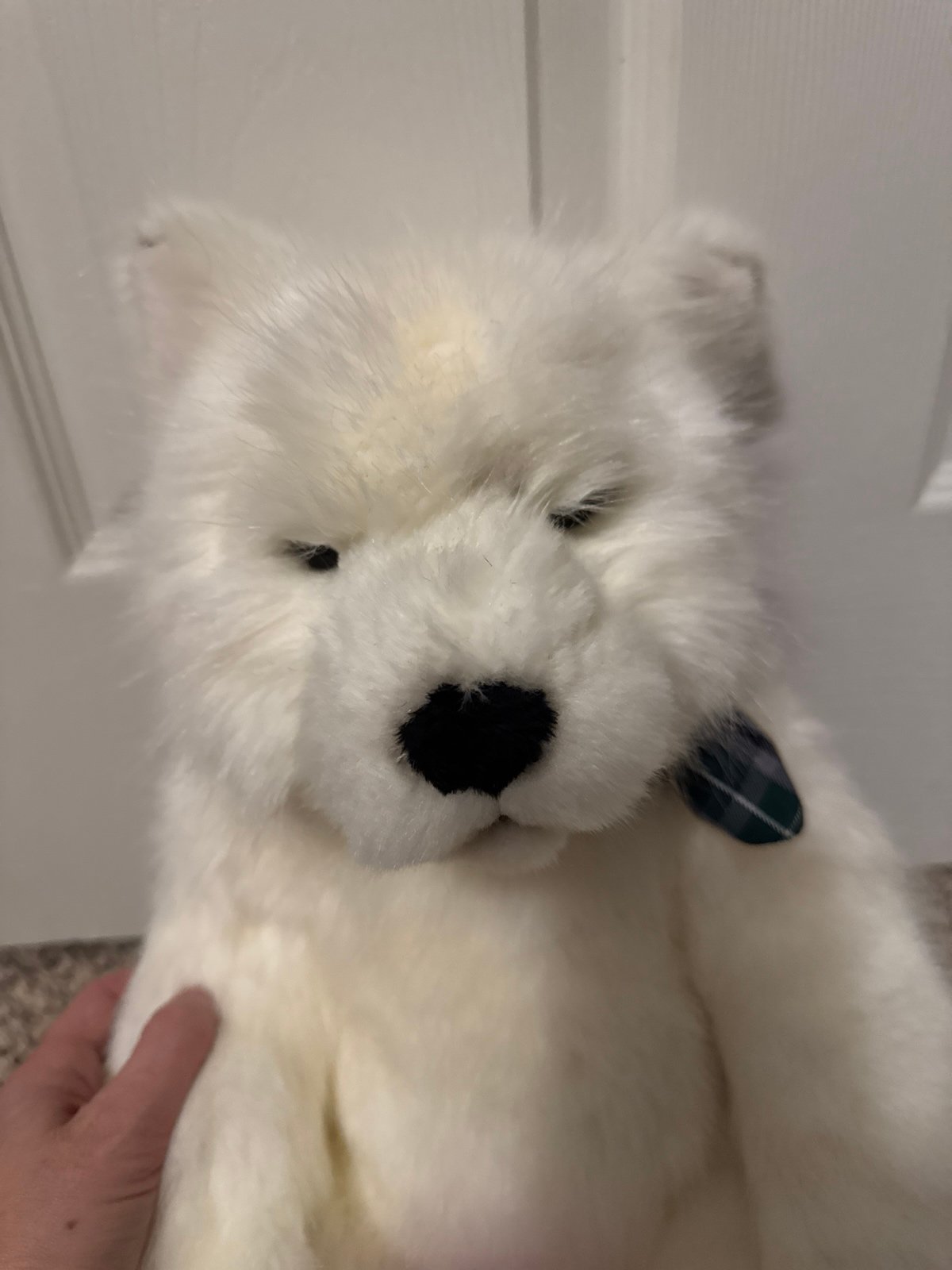 Charlie Bears Tundra the white Arctic Wolf