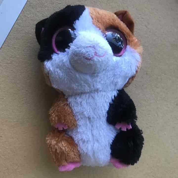 Nibbles beanie boo