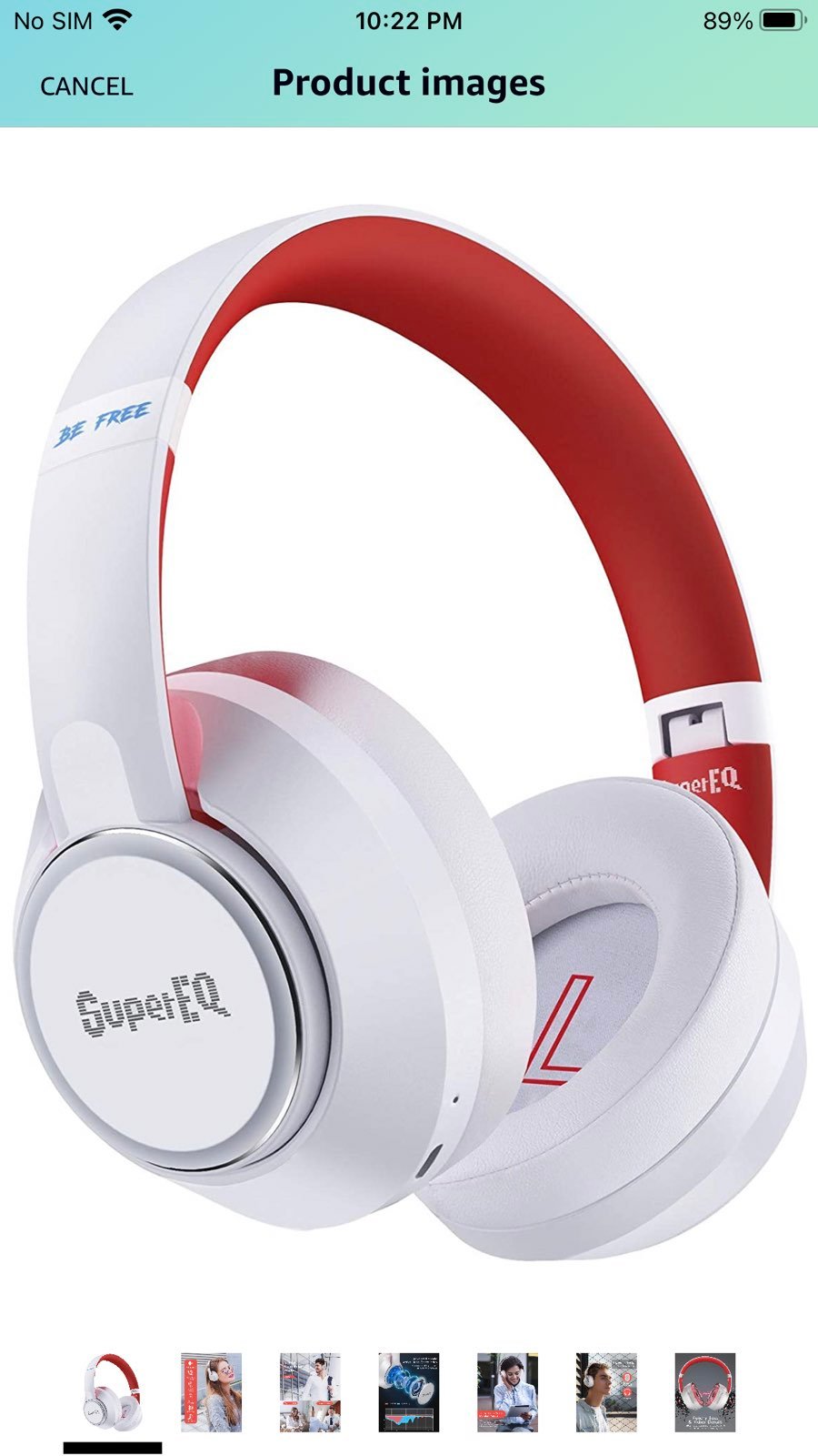 Hybrid Active Noise Cancelling Headphone