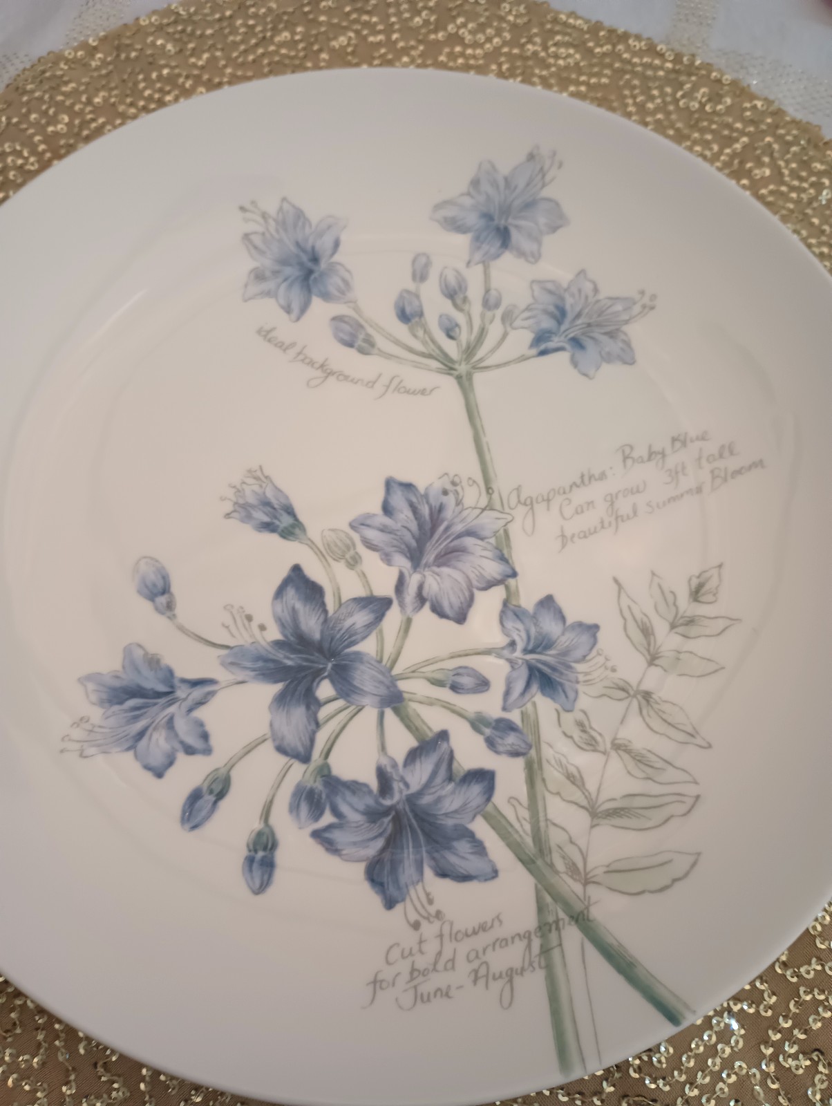 Pair of Lenox Artist Sketchbook Dinner Plates