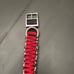 dog collar