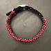 dog collar