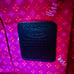 BRIGHTON X VERA NEUMANN LADY BUG COLLECTION TOTE HANDBAG WITH DUST BAG