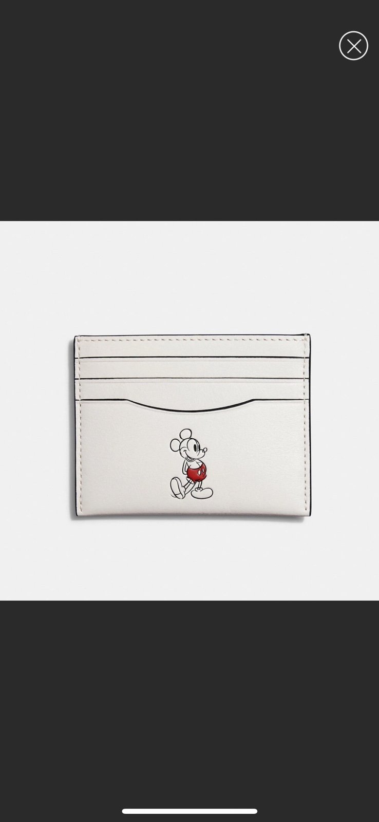 Disney X Coach Card Case