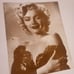 Marilyn Monroe 11x14 Sepia Lot And New Sam Shaw Portfolio