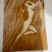 Marilyn Monroe 11x14 Sepia Lot And New Sam Shaw Portfolio