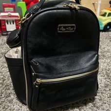 Itzy Ritzy mini diaper bag
