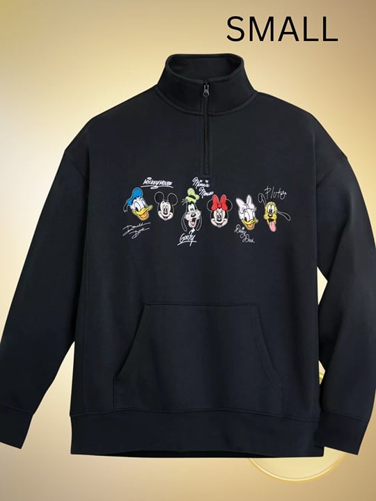 (SMALL) Disney Parks Disney World Mickey & Friends Quarter Zip Pullover