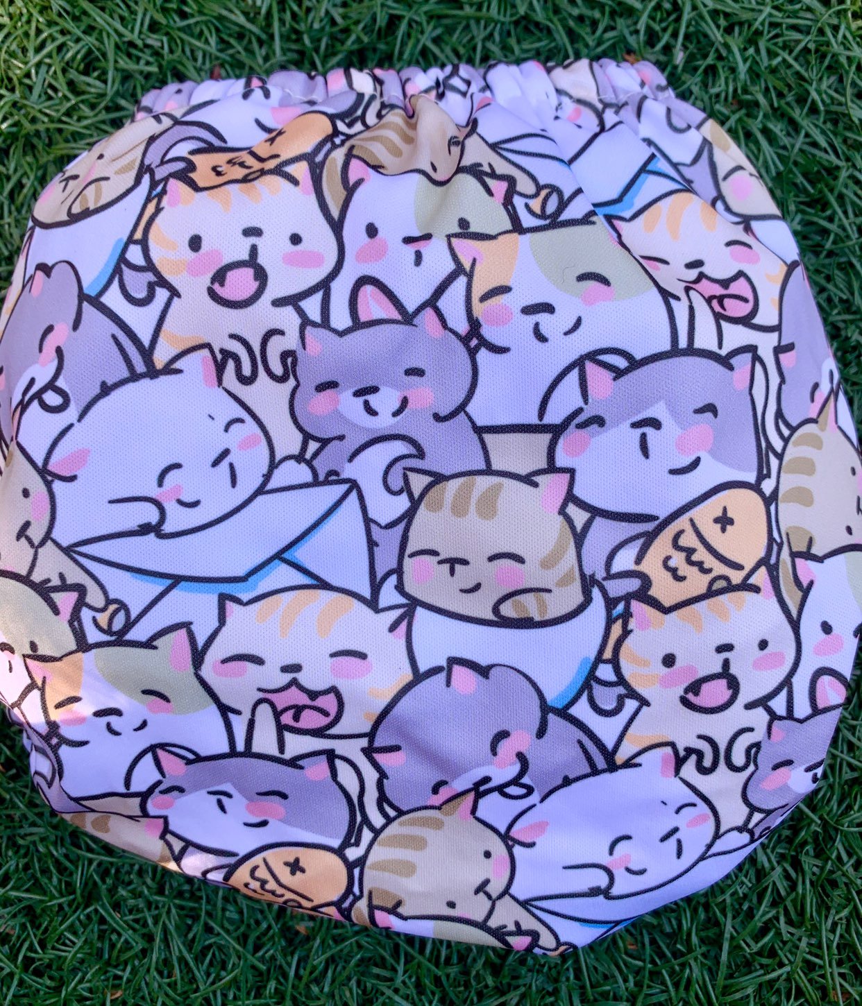 Mama koala cats exclusive