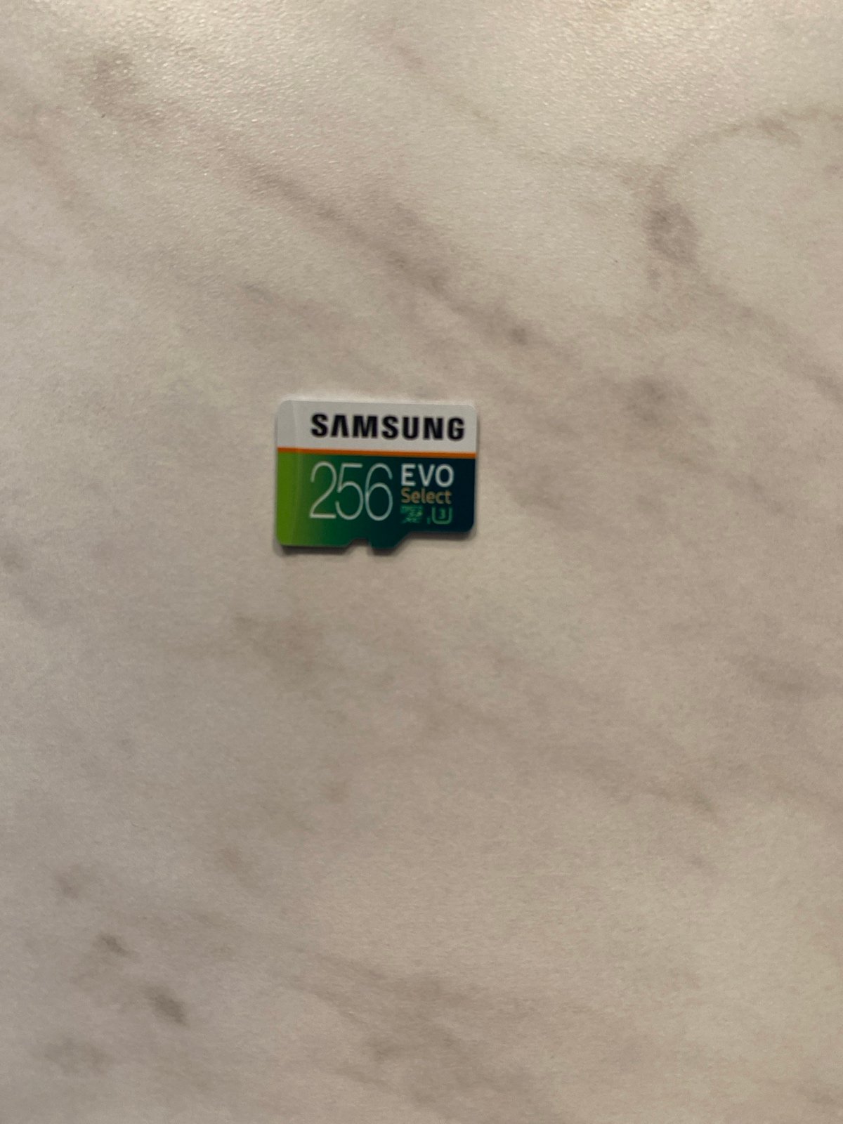 Samsung 256 GB Micro SD Card