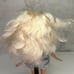 Bratz Costume Party Pouty Princess Cloe Doll 2008 MGA Entertainment Read
