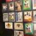 Large Lot of Jackie Robinson Baseball cards, Gold Cards, SP Cards, Vintage Cards