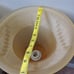 Bronze Footed Floral Feet Lamp Glass Lamp Shade Lampshade