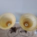 Bronze Footed Floral Feet Lamp Glass Lamp Shade Lampshade