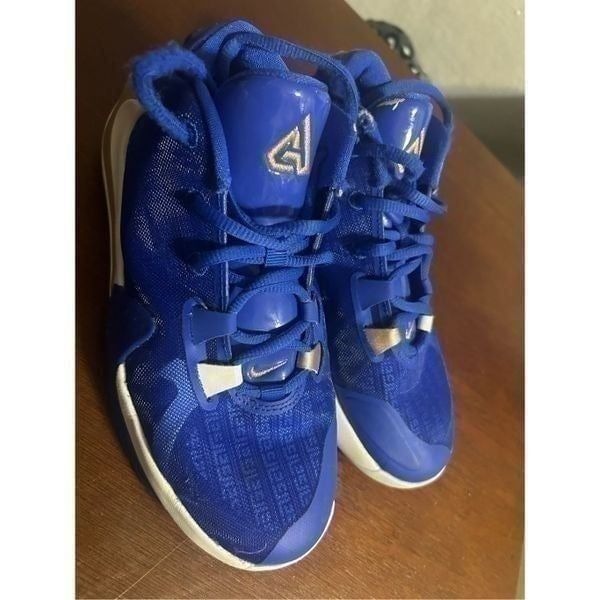 Nike Zoom Freak 1 high tops size 4.5Y