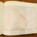 Sandro Botticelli: The Drawings for...