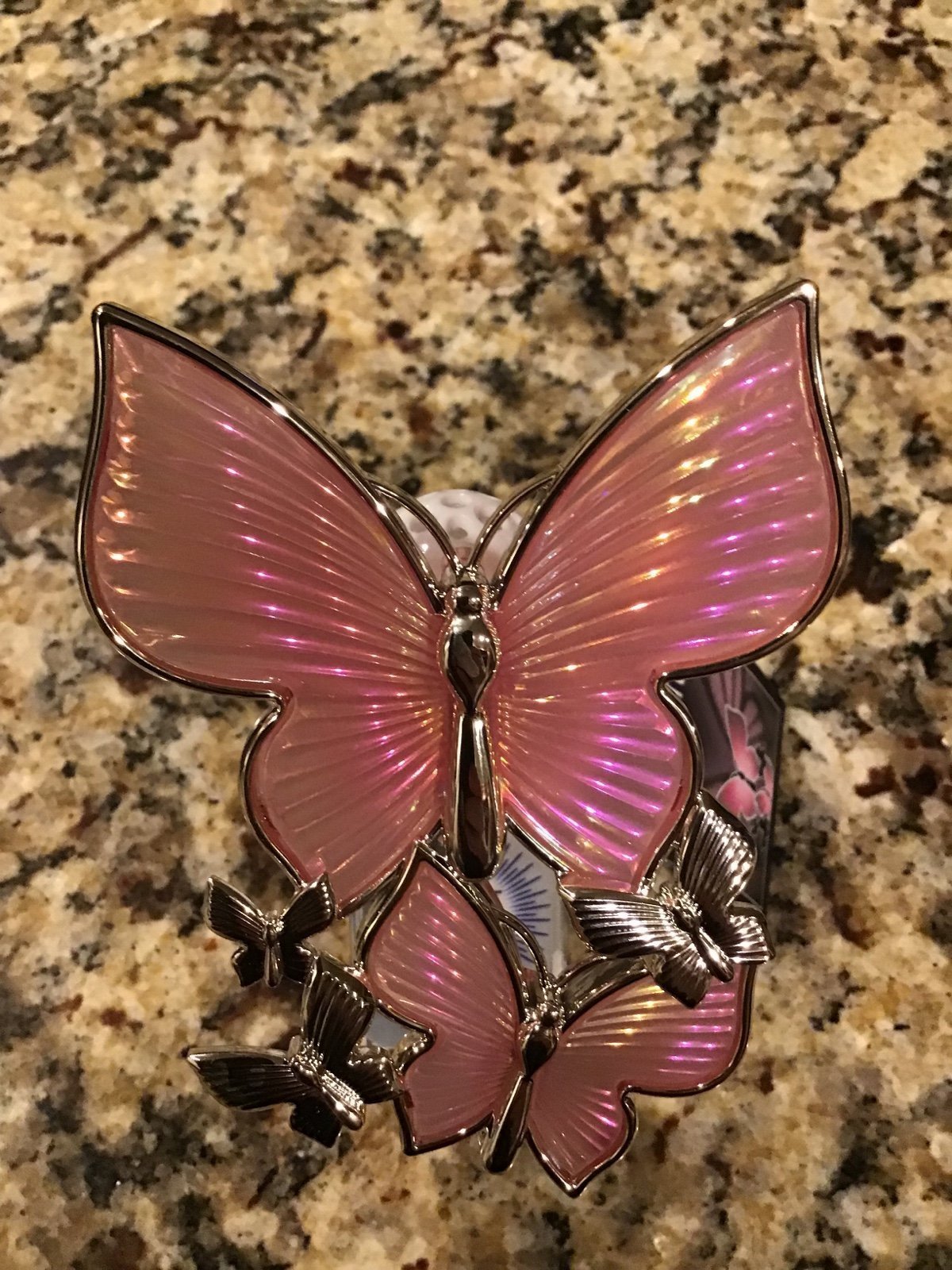Butterfly Wallflower Light Up