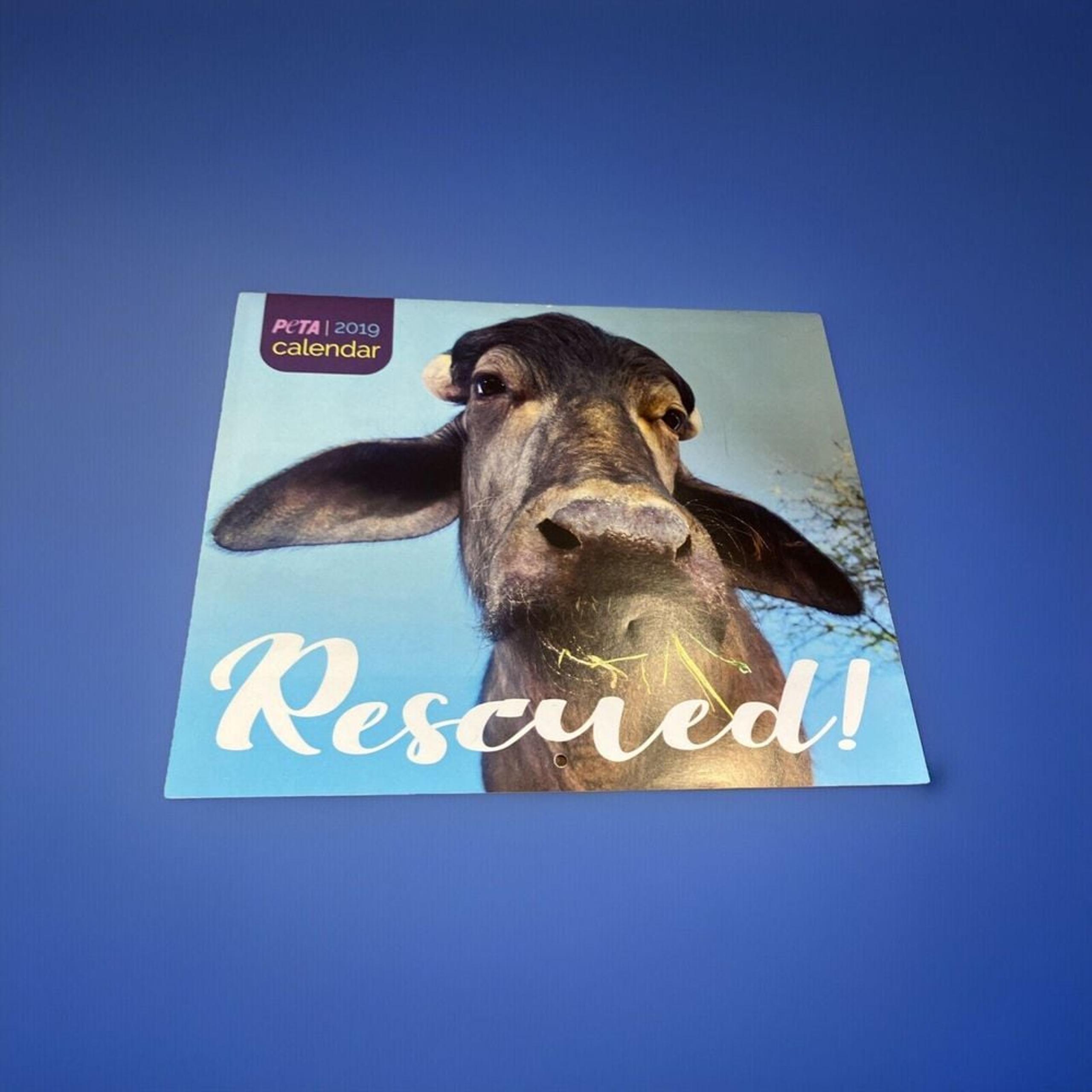 2019 PETA Rescued Animals Wall Calendar