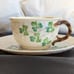 Belleek Cup and Saucer Set Fermanagh, Ireland Antique