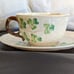 Belleek Cup and Saucer Set Fermanagh, Ireland Antique