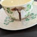 Belleek Cup and Saucer Set Fermanagh, Ireland Antique