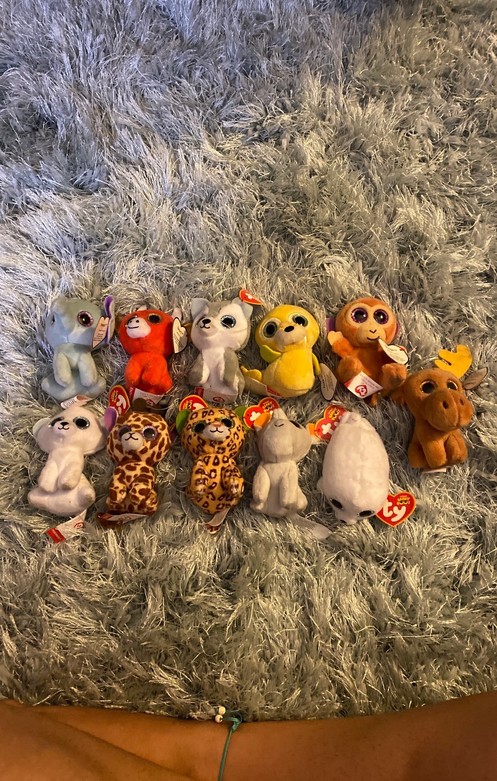Ty Teenie Beanie Boos