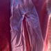 Gym shark leggings