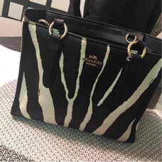 Used Coach Purse