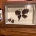 Made to order sea glass art