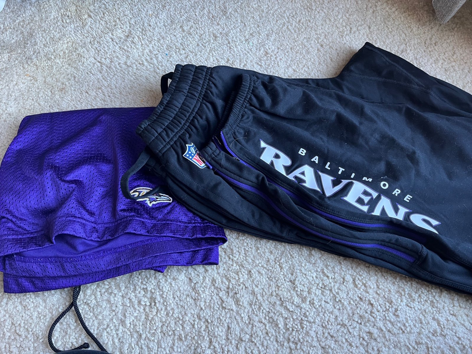 Baltimore Ravens Lot