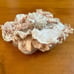 Petruska San Francisco artesian hair barrette