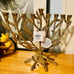 New Menorah Gold Plated from Sur La Table