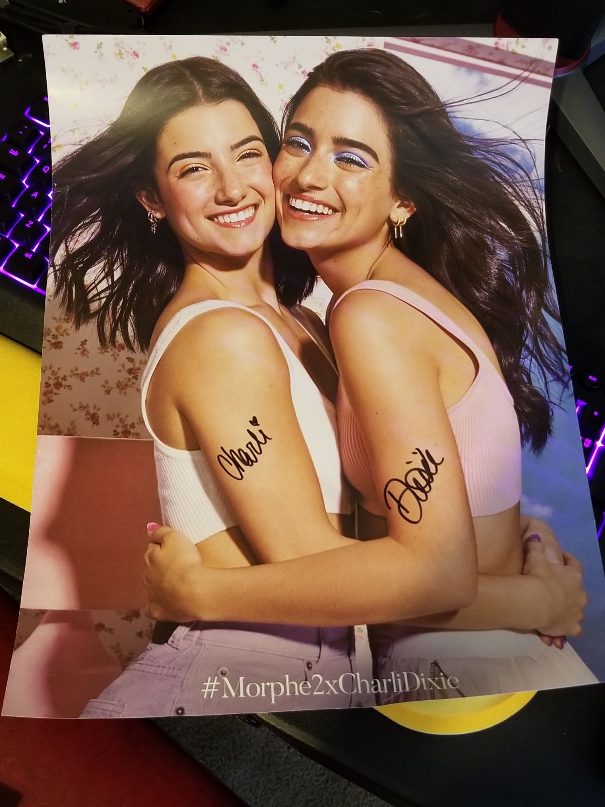 Charli and Dixie Damelio Signed Poster
