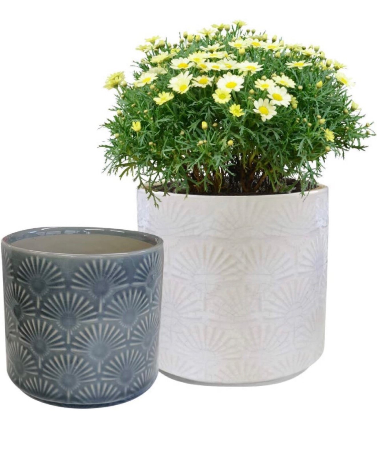 Ceramic pots