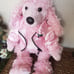 Pink Poodle