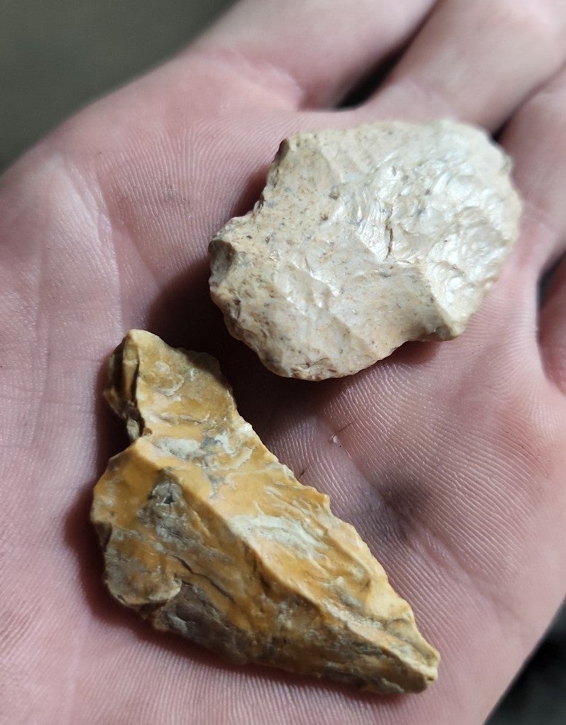 Arrowhead collection all found locally in lake of the Ozarks missouri