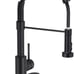 Kitchen Faucets with Pull Down Sprayer
