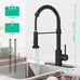 Kitchen Faucets with Pull Down Sprayer