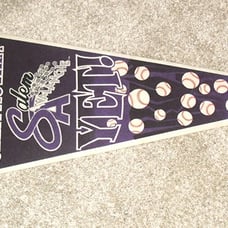Salem Avalanche Minor League Baseball Vintage 1996 Pennant New