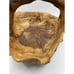 VTG Large Hand Carved Wood Tree Burl Wooden Bowl Basket Handle Shan Mu Tree