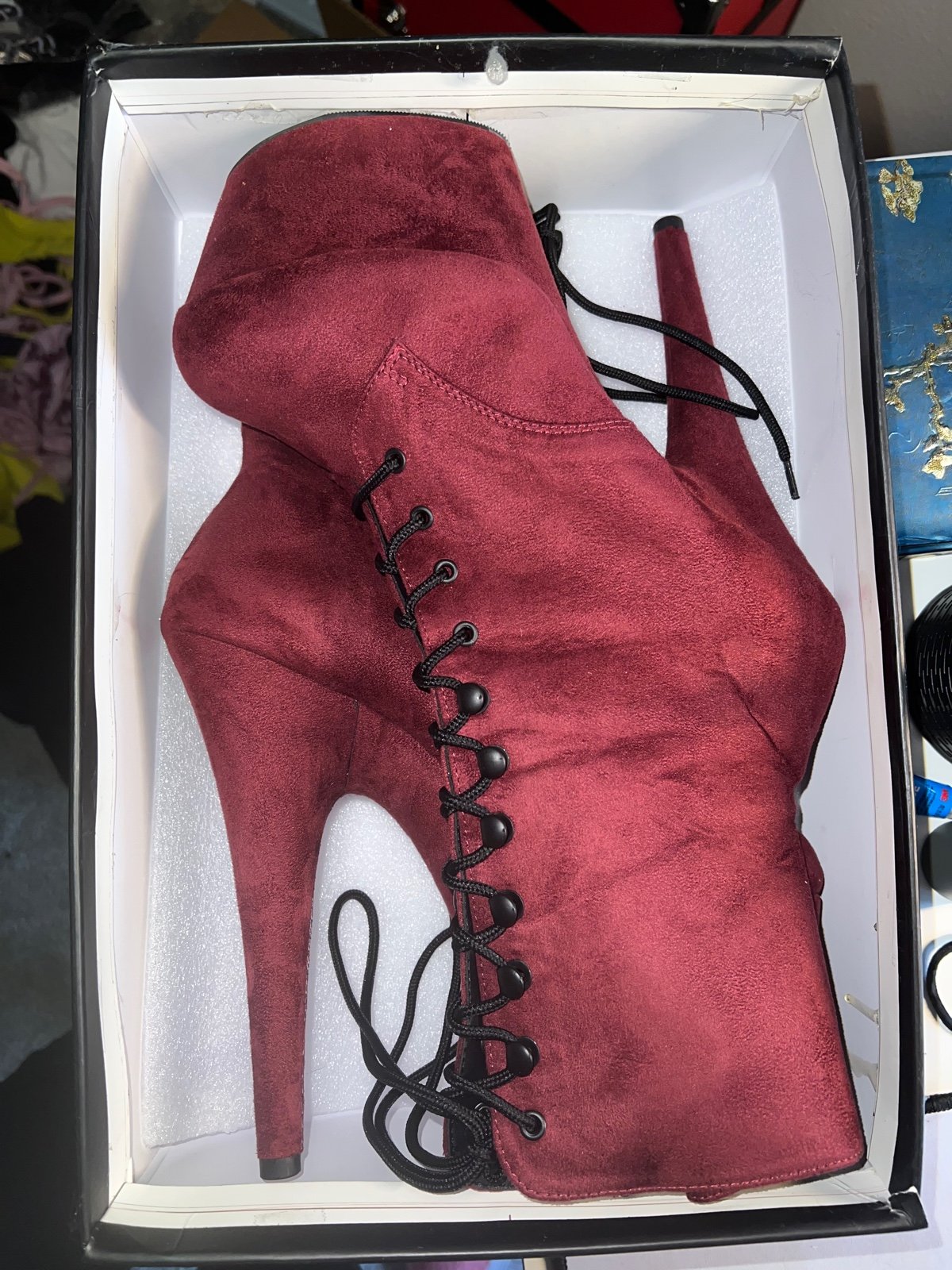 Pleaser Boots
