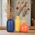 New Set of 3 Colorful Ceramic Vase for Home Decor - Burnt Orange & Blue