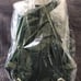 Jeffree Star Green Crocodile Backpack