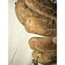 VINTAGE BASEBALL GLOVE 1950'S MACGREGOR G116 GUS BELL AUTOGRAPH MODEL GLOVE MITT