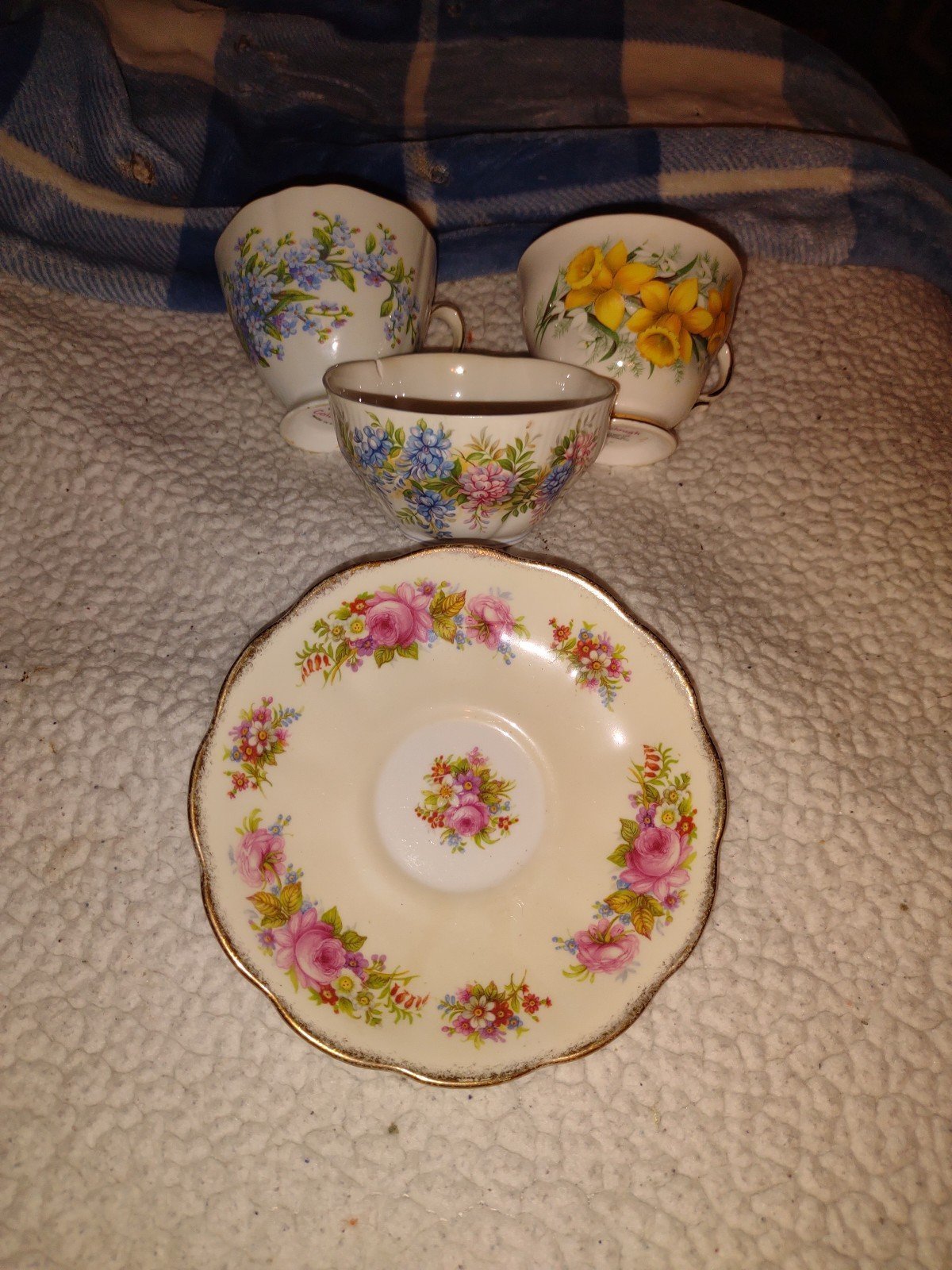 Three Beautiful cups!!! and one plate!!