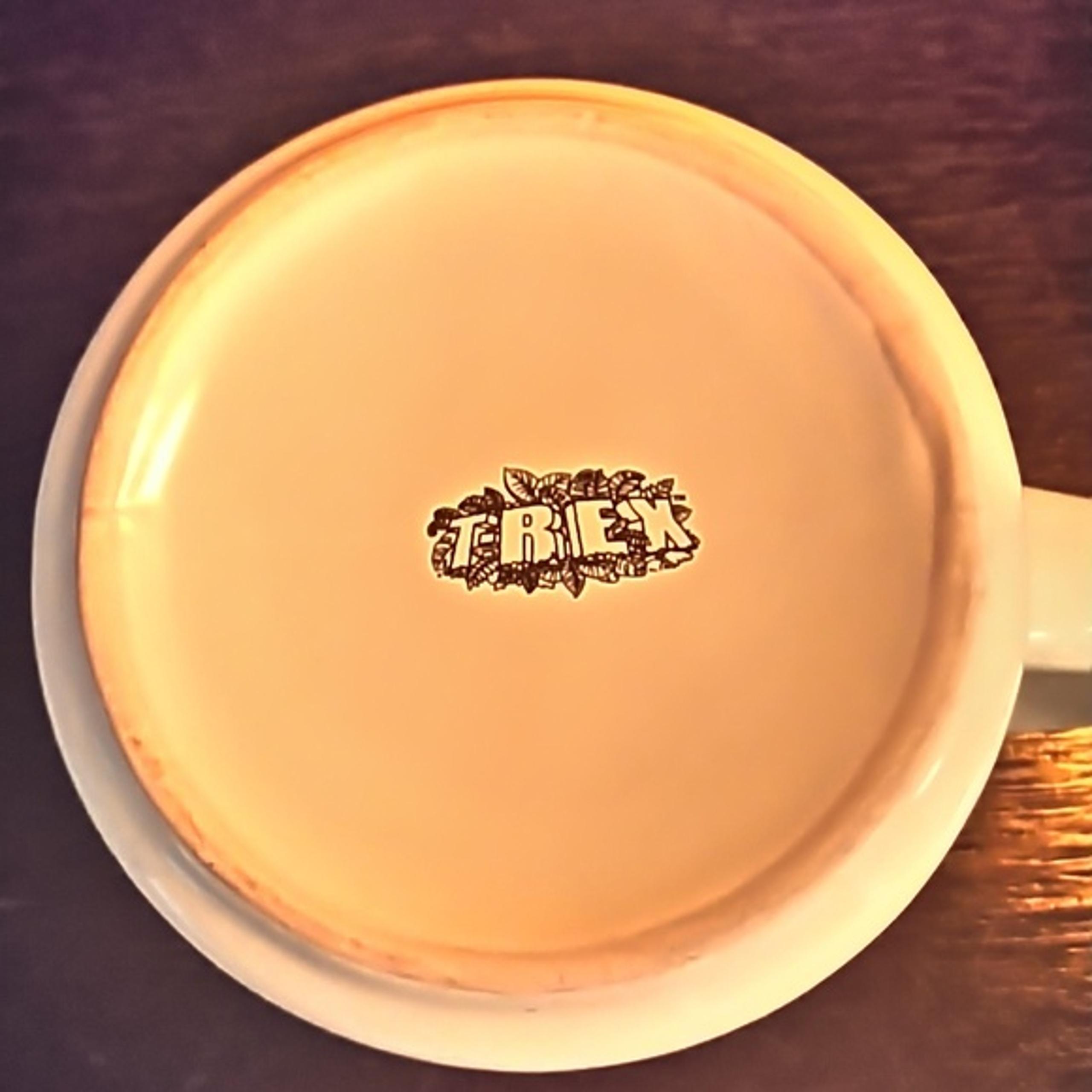 New, never used T-REX coffee mug.