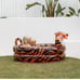 Tully The Tiger Kids Portable Pool