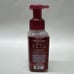Lot Of 4! Bath & Body Works Gentle Foaming Hand Soap BOARDWALK VANILLA CONE NEW